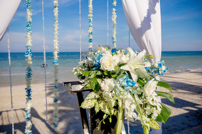 Close-up of flowers in vase on beach against sea