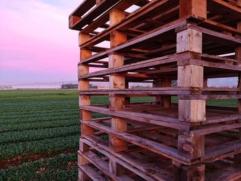 Full frame shot of agricultural field against sky during sunset