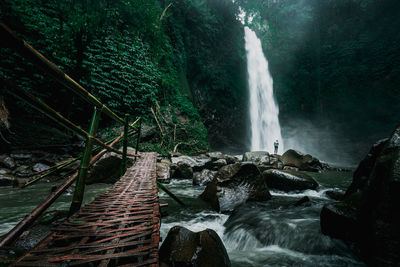 Scenic view of waterfall in forest