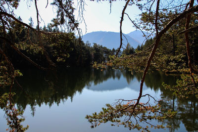 Scenic view of lake by trees against sky