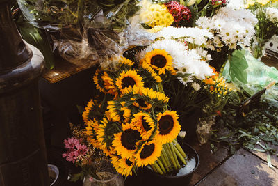 High angle view of sunflowers