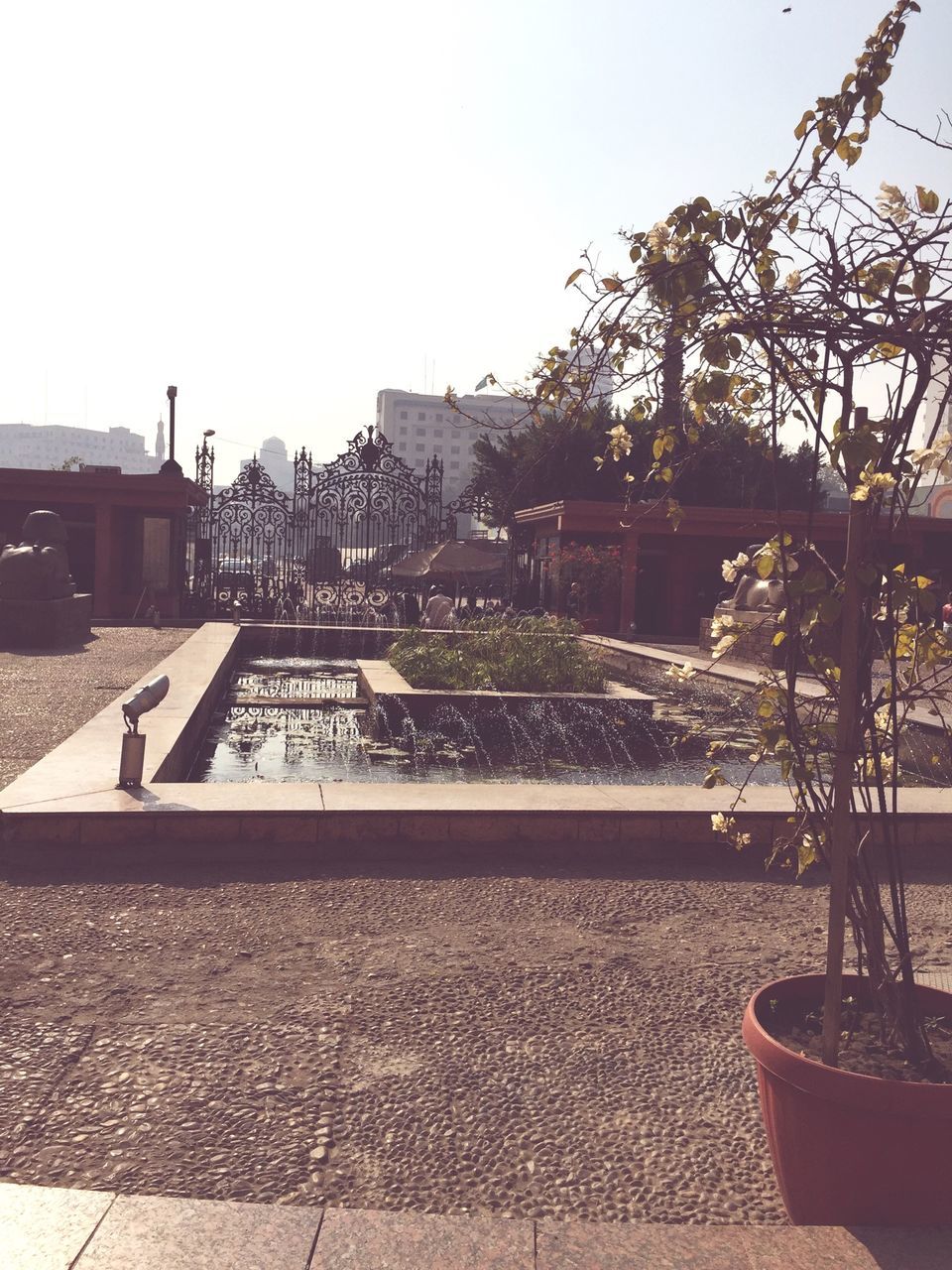 clear sky, built structure, tree, architecture, railing, sunlight, transportation, building exterior, bridge - man made structure, copy space, the way forward, road, sky, connection, outdoors, water, river, no people, street, footpath