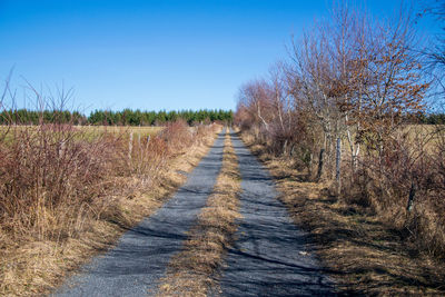 Footpath amidst plants on field against clear blue sky