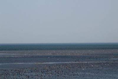 Scenic view of sea against clear sky