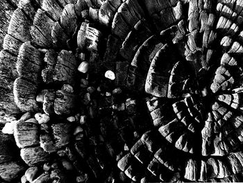 Full frame shot of logs