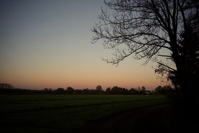 Scenic view of field against sky during sunset