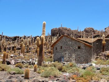 Old ruins of on field against clear sky