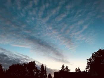 Low angle view of silhouette trees against sky