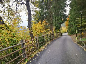 Road amidst trees in forest during autumn