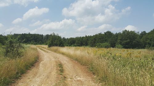 Dirt road amidst grassy field against sky