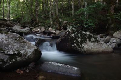 Stream flowing through rocks in forest