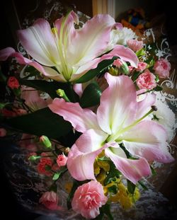 Close-up of pink flowers