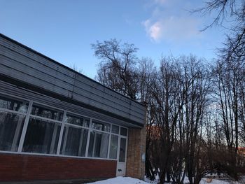 Low angle view of bare trees and building against sky