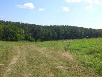 Scenic view of grassy field against sky