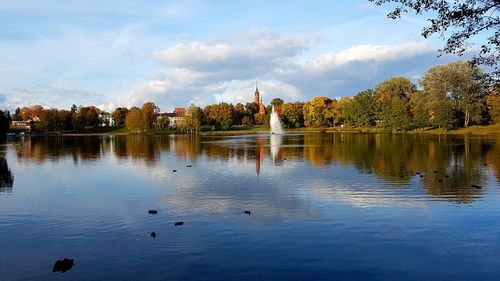 View of swans swimming in lake