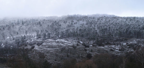 Scenic view of snow covered land against sky