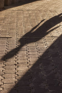 Footpath in front of brick wall