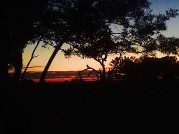 Silhouette trees against sky during sunset