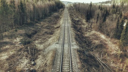 Railroad tracks amidst trees in forest against sky