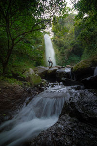 Scenic view of waterfall in forest