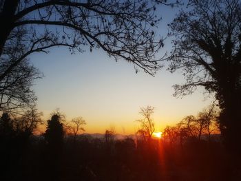 Silhouette trees against sky during sunset