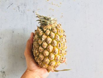 Cropped image of person holding fruit