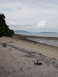 Scenic view of beach against sky