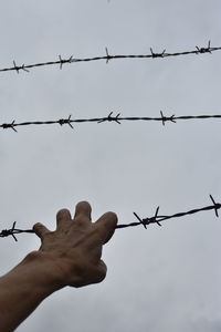 Low angle view of barbed wire against sky