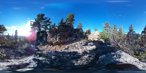 Rock formation amidst trees against sky