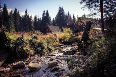 Idyllic traditional houses in slovakia