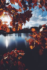 Scenic view of lake by trees during autumn