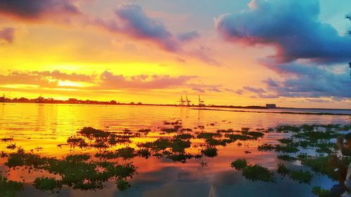 Scenic view of sea against cloudy sky at sunset