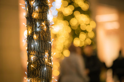 Close-up of illuminated christmas tree