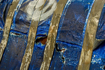 High angle view of an animal on wood