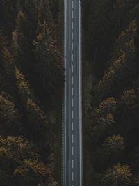 High angle view of trees at night