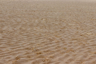 High angle view of sand on beach