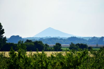 Scenic view of landscape against clear sky