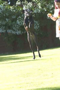 Full length of woman standing on tree trunk