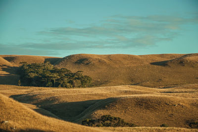 Rural lowlands called pampas with hills covered by dry bushes at sunset near cambará do sul. brazil.