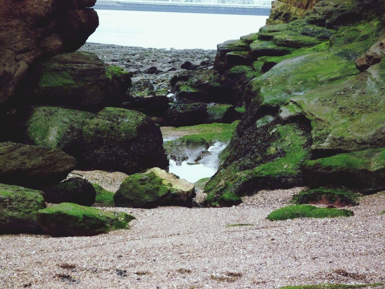 Beach Rocks