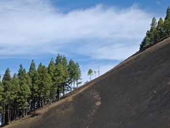 Road amidst trees against sky