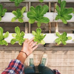 Low section of person standing by potted plant
