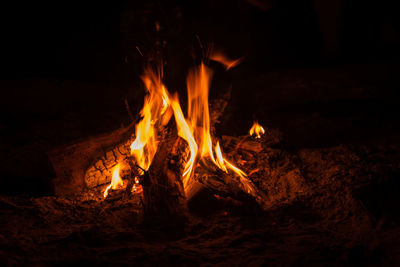 Campfire at tourist camp at nature. flame on dark abstract background. cooking, travel