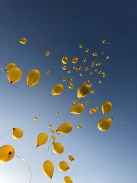 Low angle view of yellow helium balloons flying in clear blue sky