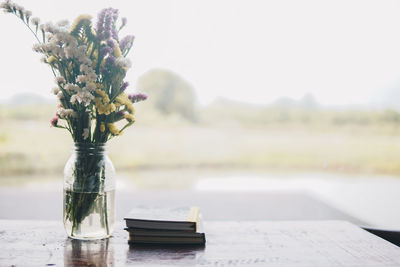 Close-up of potted plant on table