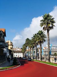 Panoramic view of palm trees and buildings against sky