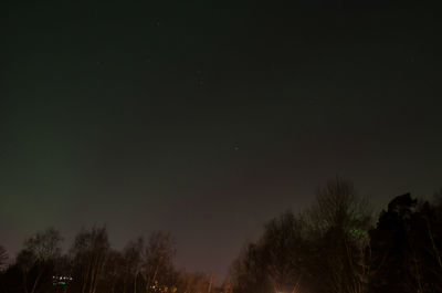 Low angle view of trees against sky