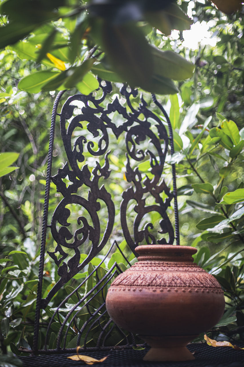 CLOSE-UP OF POTTED PLANT