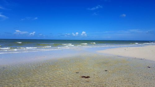 Scenic view of beach against blue sky