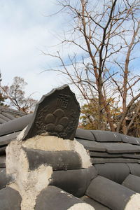 Close-up of statue against bare tree